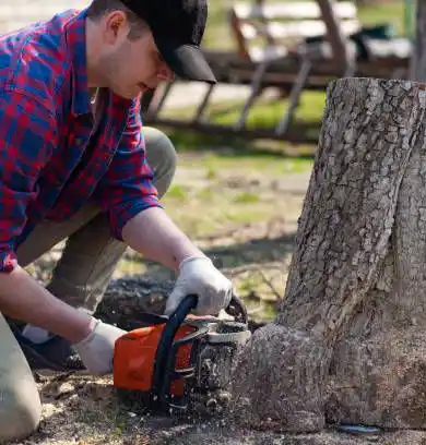 Stump grinding equipment at work on a property